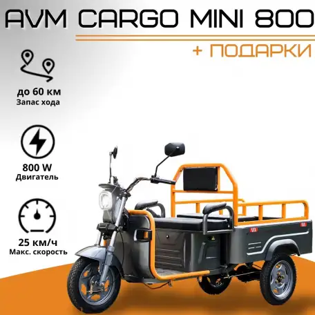 Электротрицикл AVM Cargo mini 800, фотография 1
