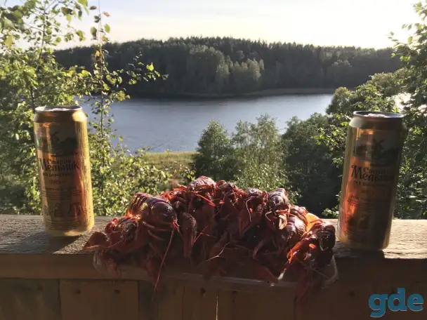 Продам, Заозерье.Ушачский район.Великодолецкий с/с, фотография 10