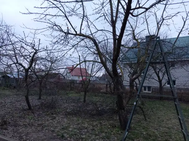 Садовник, фотография 2