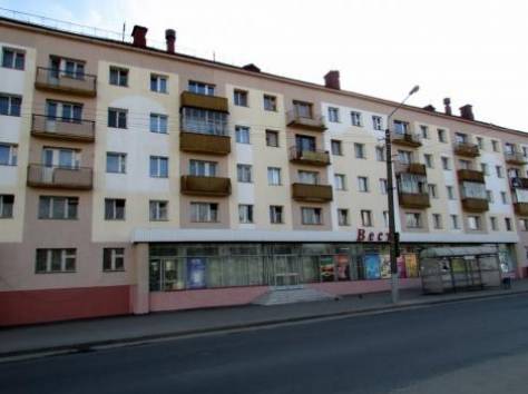 Однокомнатная квартира в центре Витебска, фотография 2