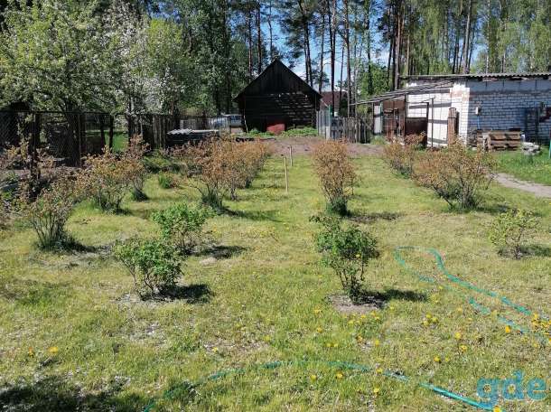 Продам дом с ремонтом, Смолевичский район п Зелёный Бор пер Заводской, фотография 11