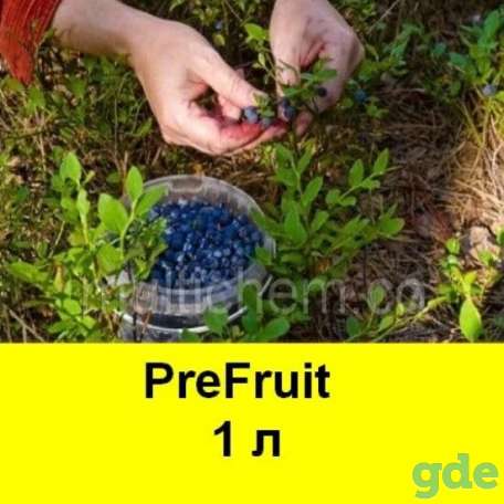 Консервант плодов, антитранспирант фруктов. PreFruit, фотография 1