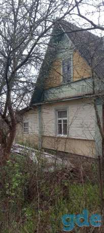 Продам дачу, область,Пуховичский район,садовое товарищество Ветеран., фотография 2