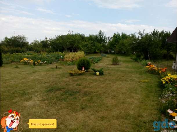 продам дачу, д.Боровцы, фотография 5