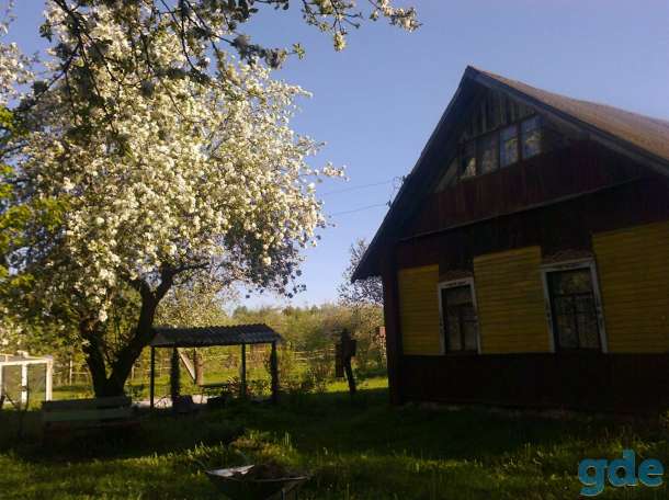 Продам дом с участком, фотография 4