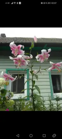 Продажа недвижимости, г гомельской области, фотография 1