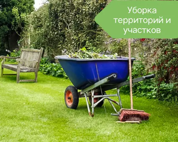 Ищу подработку 16 лет есть опыт, фотография 3