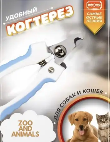 Котенок, фотография 6