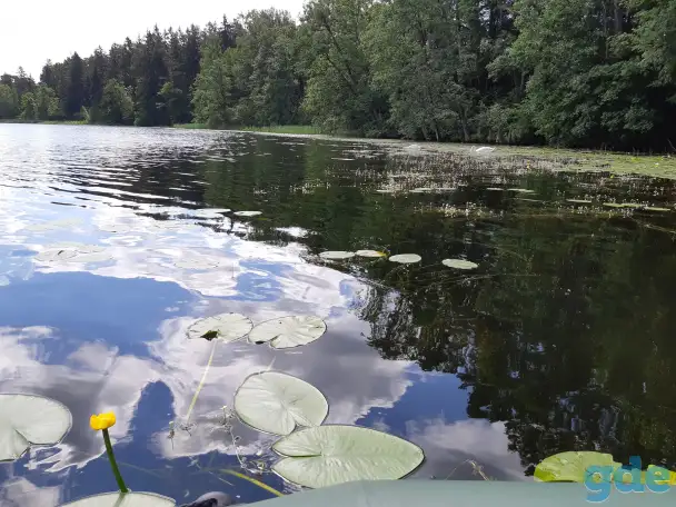 Дом с участком, д. Ёди дом 7 район Гродненская область, фотография 5