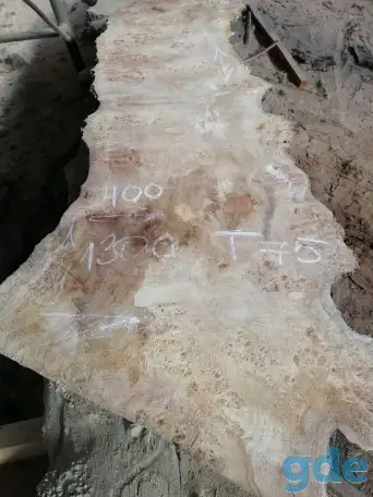 Слэбы от производителя из дуба, шпальтового бука, капового тополя, вербы, капового карагача, ясеня., фотография 6