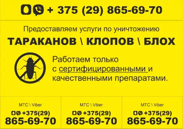 Уничтожаем насекомых и грызунов., фотография 2