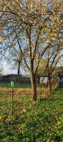 Продам дом, Деревня Лешня района Минская область, фотография 6