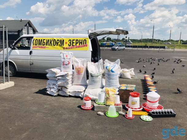 Комбикорм, зерно, витамины от ведущих производителей, фотография 1