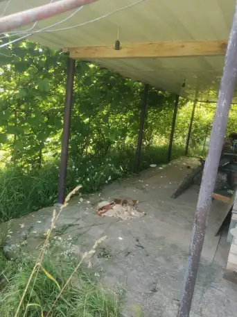 Дача в Витебской области, садовое товарищество Лесное, фотография 2