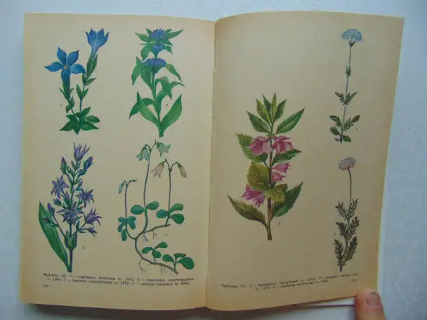 Они не должны исчезнуть. Животные, Растения, Минск, Народная Асвета,1987 год, Дорофеева, Сюборова, фотография 5