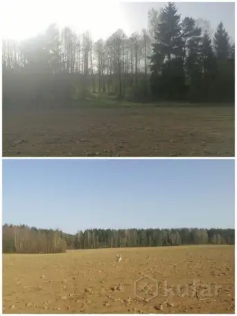 Дом в деревне Боровики Воложинского района, фотография 2