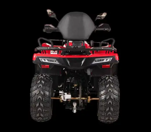 Квадрицикл bizon yk250 lux efi, фотография 2