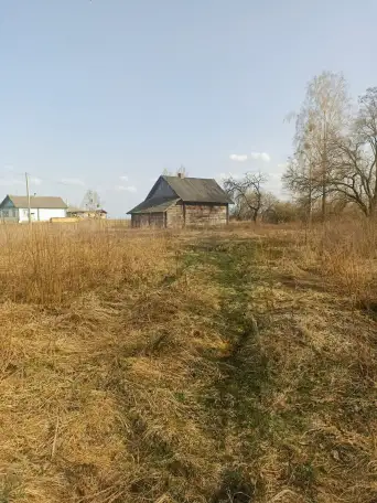 Дом д.Белановичи 20соток, фотография 3