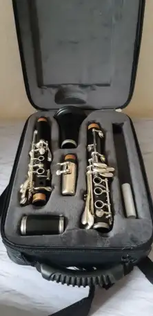 Кларнет Buffet Crampon Prodige, фотография 1
