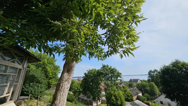 Дом на  сутки в Браславе  горпляж, комнаты, фотография 15