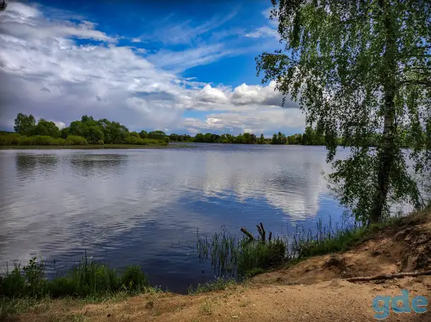 Продаю дом д. Вязынь (Вилейское водохранище-Илия), фотография 9