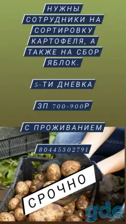 Работа вахтой в г.Минске, фотография 1