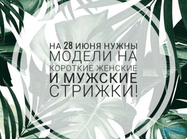 Стрижки и окрашивание волос, фотография 2