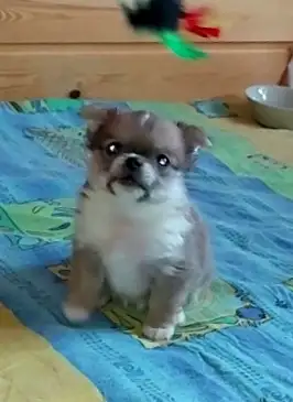 Мальчик, фотография 1