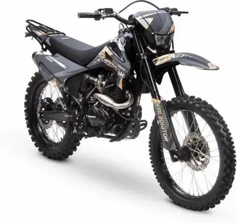 Мотоцикл GLADIATOR C3 CB300, фотография 9