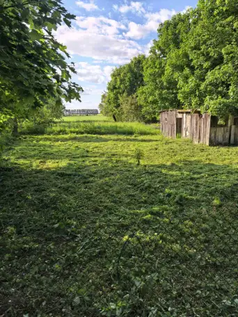 Продам участок, д. Прусы, фотография 5
