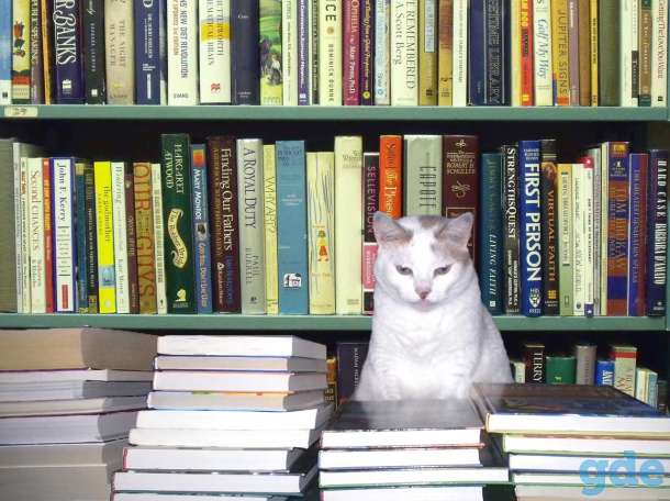 Книги, фотография 1