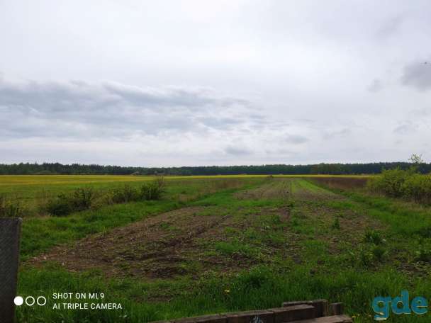 продажа дачи, д.Старое село, фотография 2