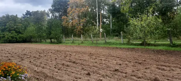 Продам дачу, ТО Темп деревня Скарчево, фотография 6