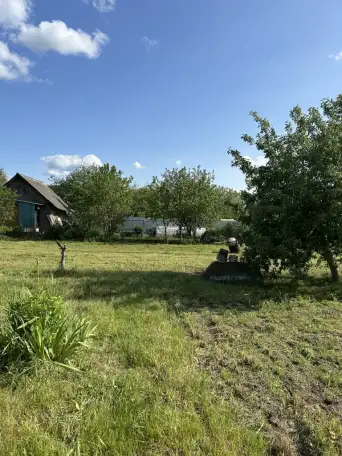 Продается деревянный дом с земельным участком в г. Чаусы Могилевской области, фотография 10