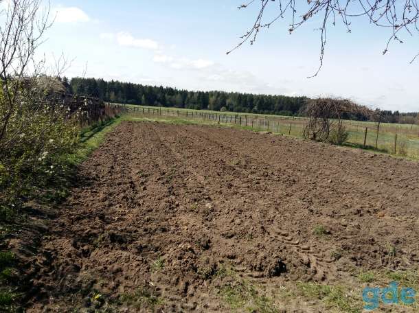 Дом и участок 40 соток, Русино, фотография 2
