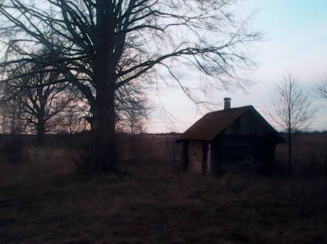 Домик у леса, фотография 1