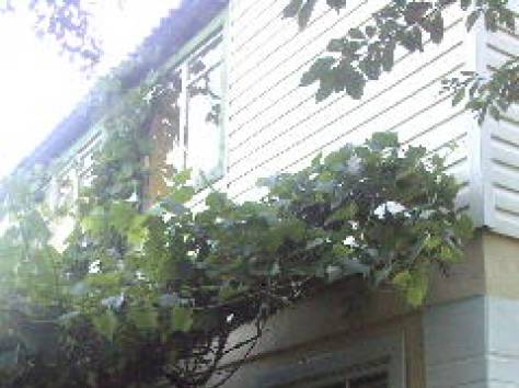 продам дом в пригороде Барановичей, д.Ястрембель, фотография 1