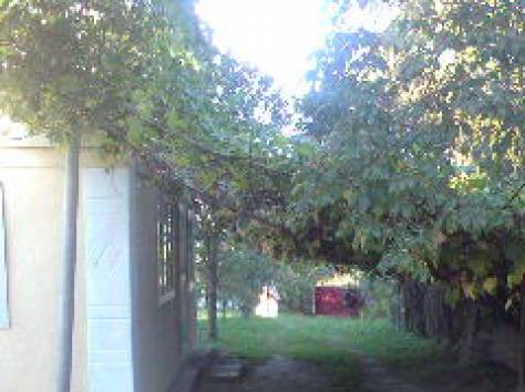 продам дом в пригороде Барановичей, д.Ястрембель, фотография 7