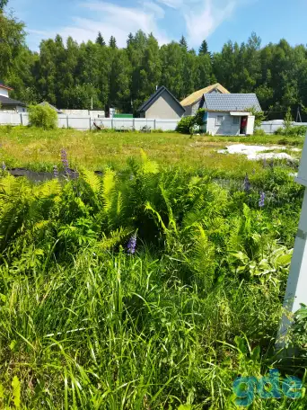 продам участок, Ст птичь2,деревня Нарейки, Дзержинсий район,путчинский сельсовет, фотография 2