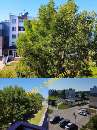 Квартира 3-х, фотография 3