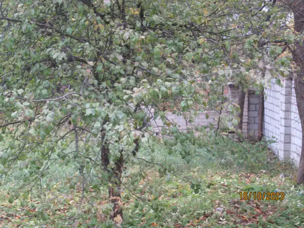 Капитальное строение с составными частями и принадлежностями в г. Бобруйск, фотография 6