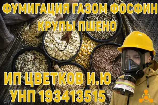 Фумигация газом фосфин ph3 крупы пшено газация, дезинсекция, обработка в Беларуси, фотография 1