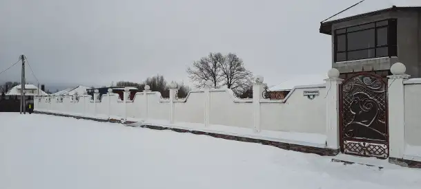 Земельный участок, Гомельская обл., Ветковский р-н, ул. Набережная, 17, фотография 2