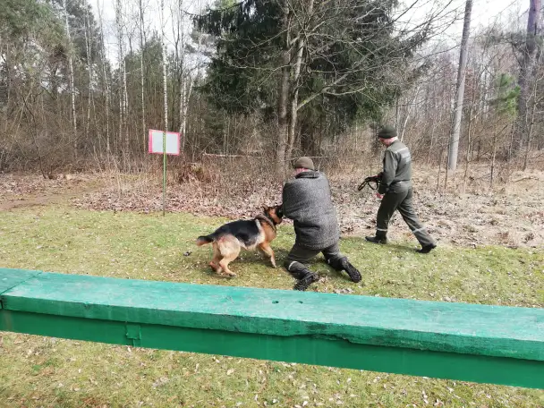 Гродненская пограничная группа осуществляет набор кинологов для службы на контрактной основе. Зарплата от 2200, фотография 5