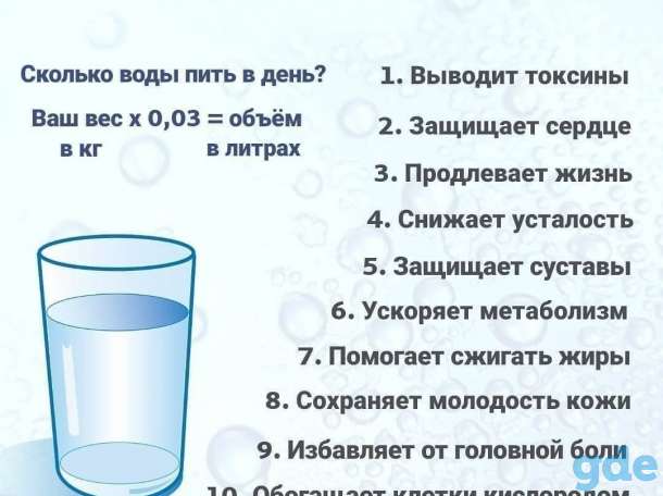 Консультация по правильному питанию, фотография 2