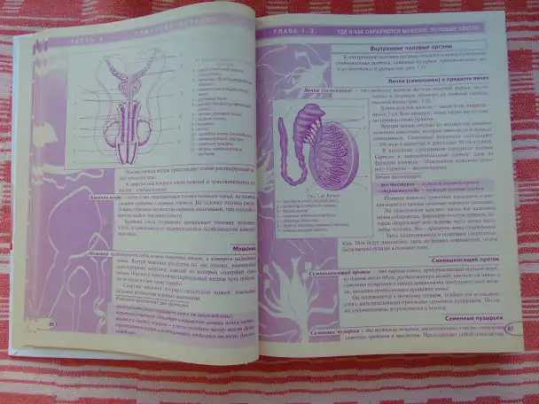 Мы ждем ребенка: таинство зачатия, счастливая беременность, успешные роды: энциклопедия  составители: С. С. Антипова и, фотография 5