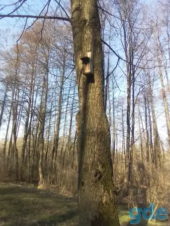 Комнаты, 3 Голодеда ул., фотография 9