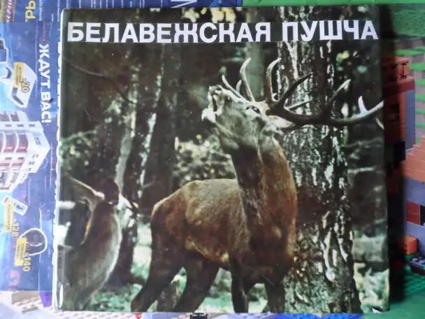 Альбомы Лувр. Париж и Белавежская пушча, фотография 7