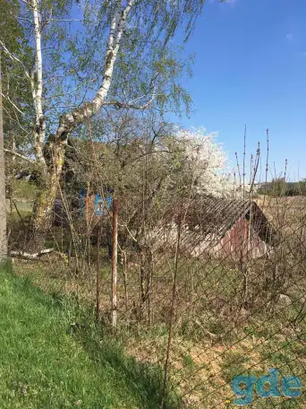 Продается участок с домом, Гродненская область, Зельвенский район, деревня Ивашковичи, фотография 7
