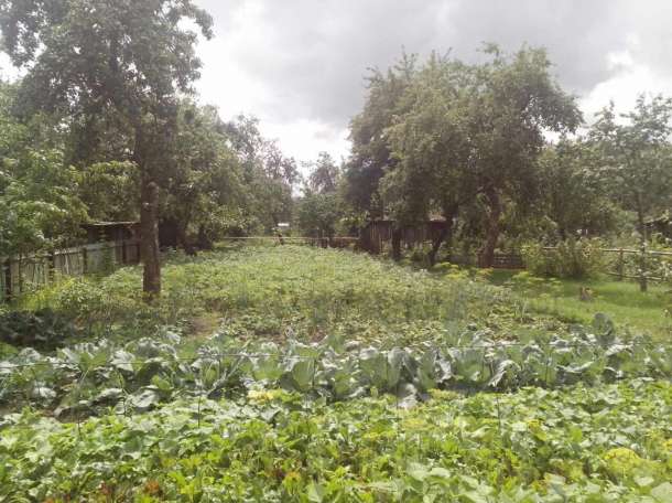 Продам отличный участок, срочно, фотография 1